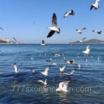 Avatar de Tomás Ledezma